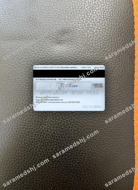 USA Georgia Gainesville First century bank AMEX everyday credit card photolook back